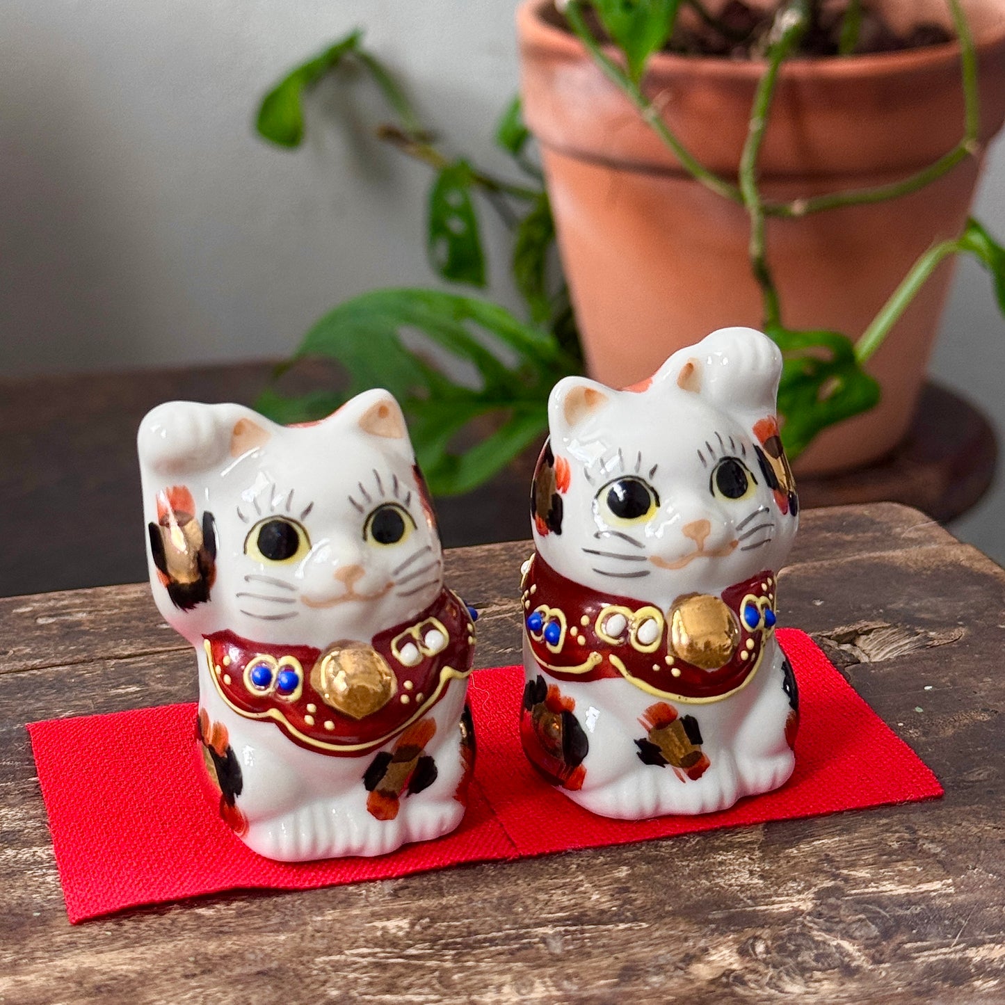 手繪三毛招財貓