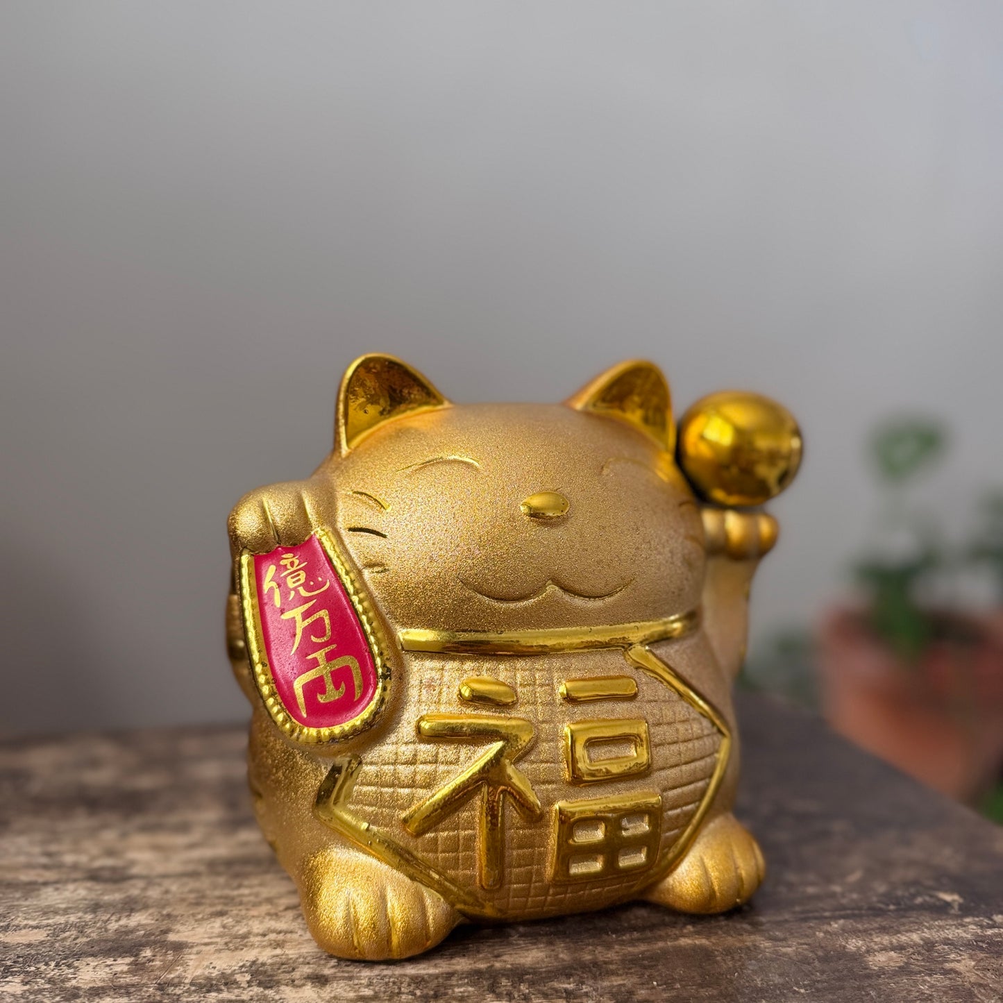 億萬金福貓存錢筒