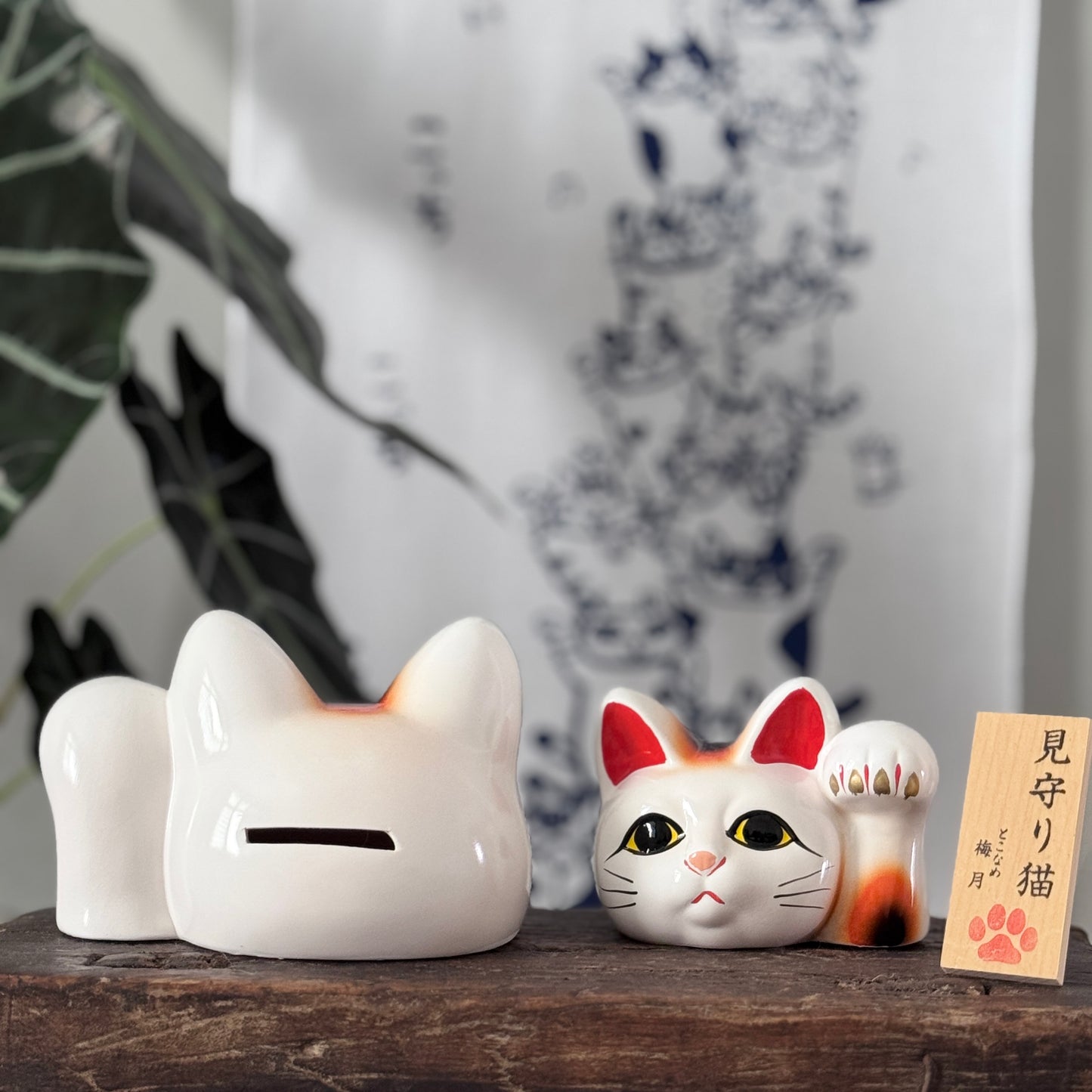 見守貓咪
