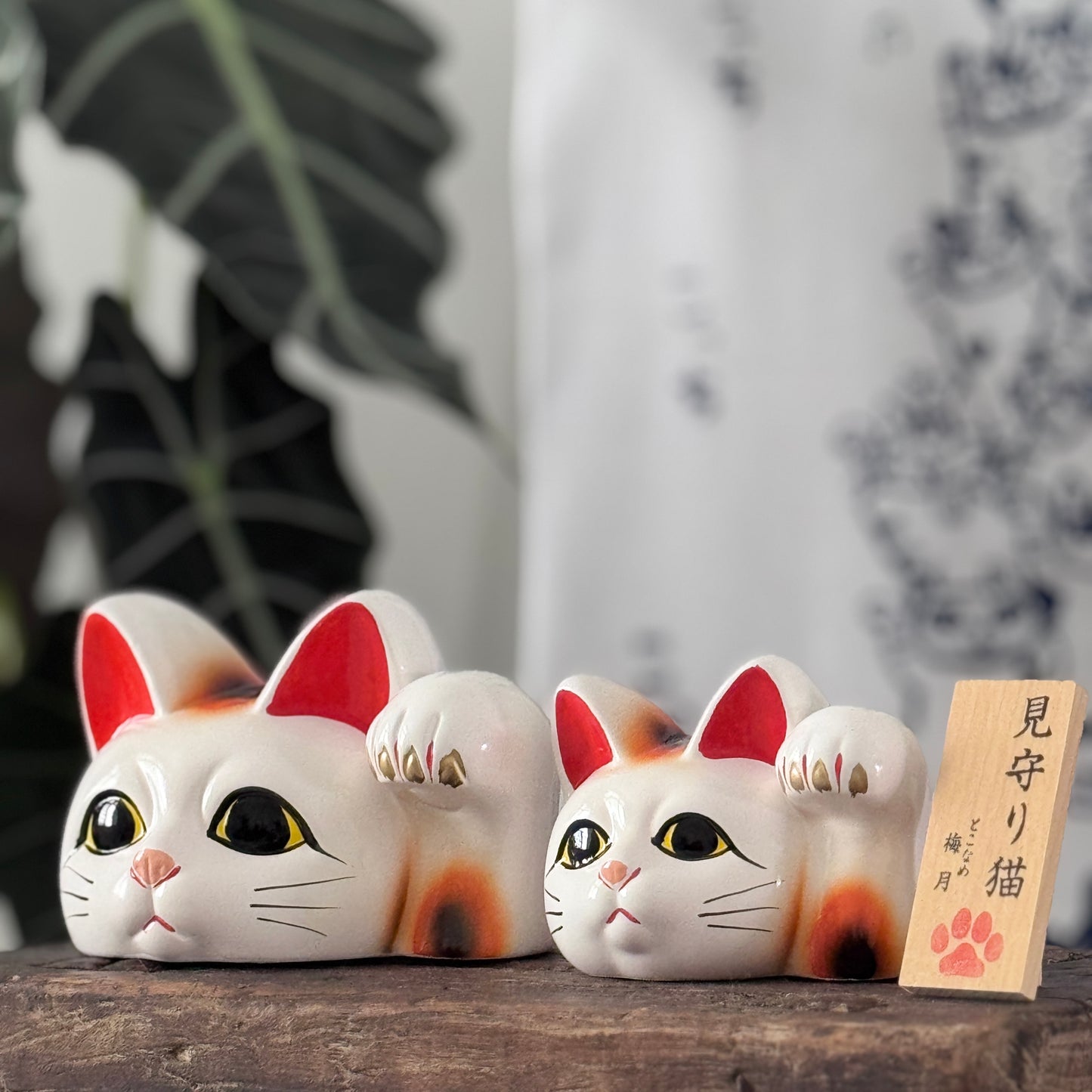 見守貓咪
