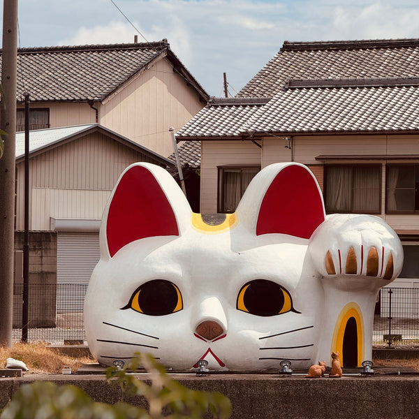 日本常滑市的見守貓咪｜招財貓的故鄉裡守護人心的象徵