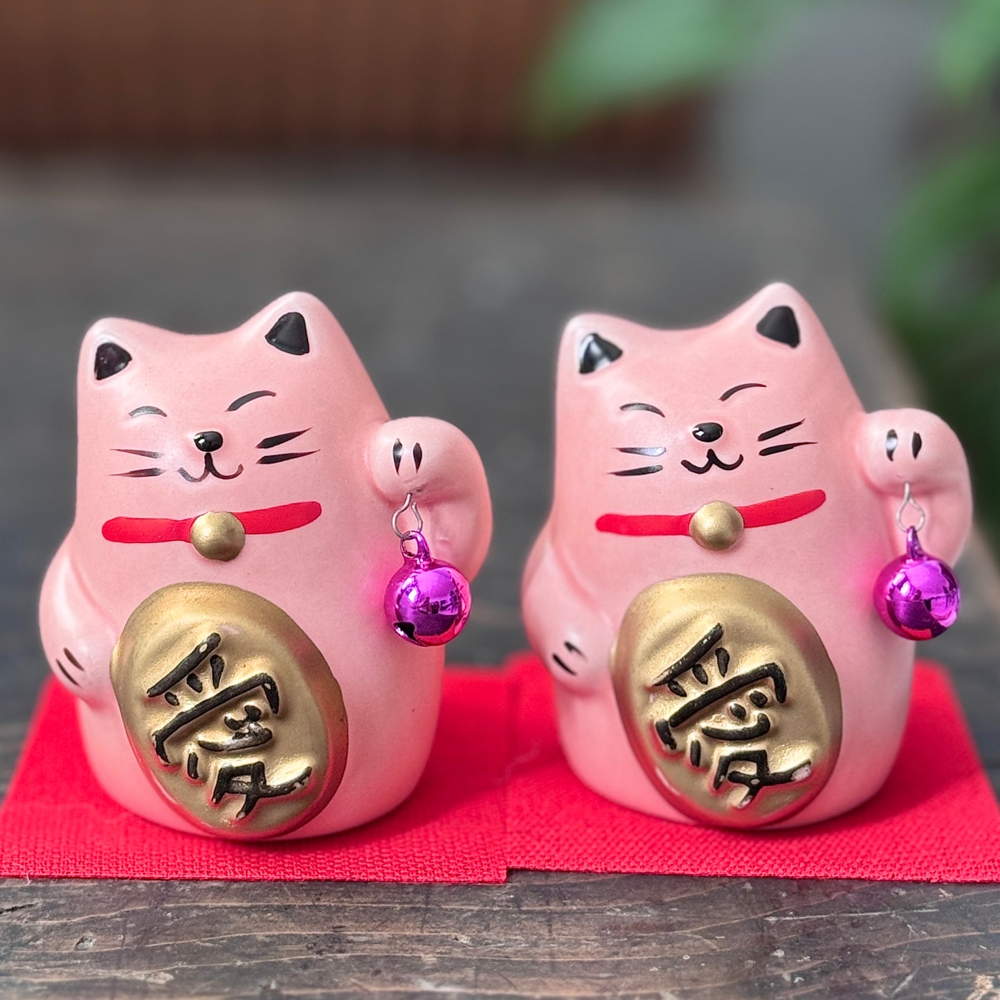 招姻緣桃花貓姬