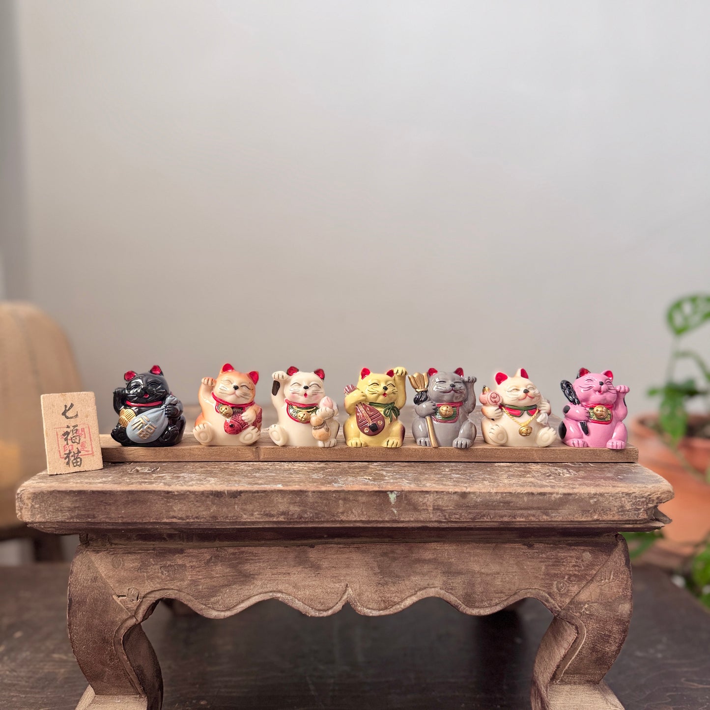 幸運七福貓
