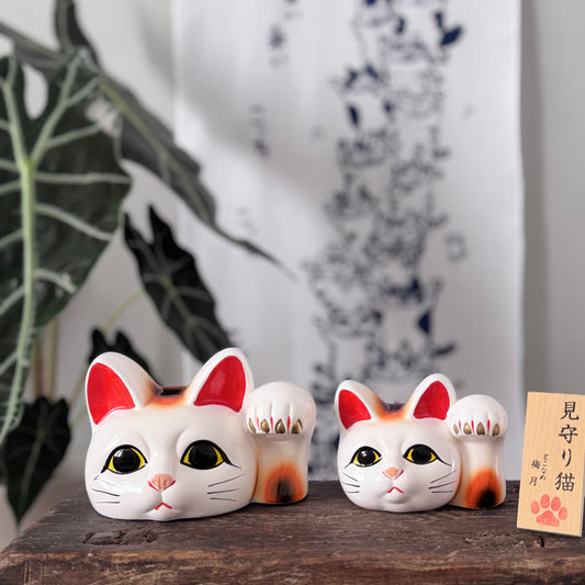 見守貓咪